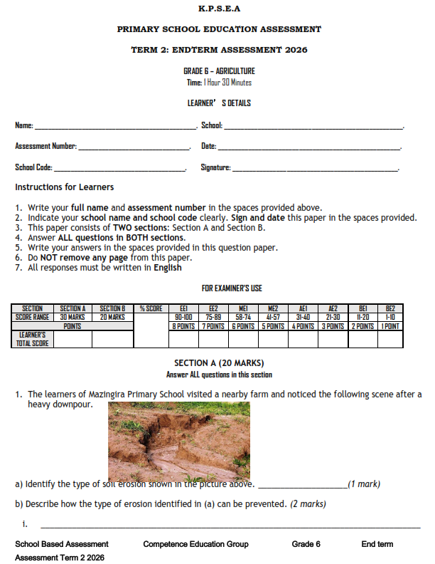 2026 GRADE 6 END TERM 2 EXAMS WITH MARKING SCHEMES
