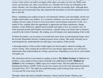 GRADE 7 STRANGE HAPPENINGS GUIDE NOTES